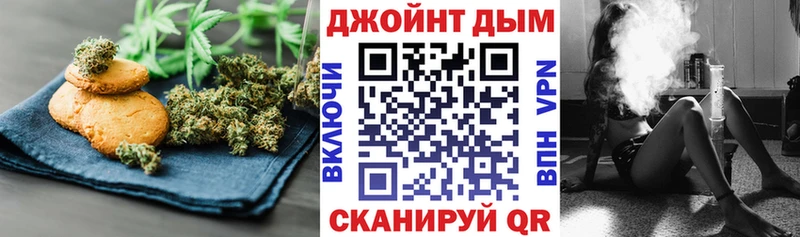 Cannafood конопля  Купить где  Сосновый Бор 