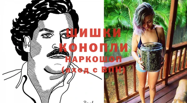 индика Балабаново
