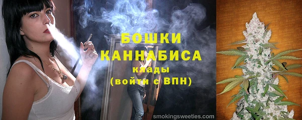 индика Балабаново