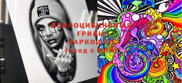 стаф Баксан